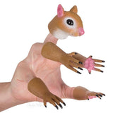 Ardilla para los dedos