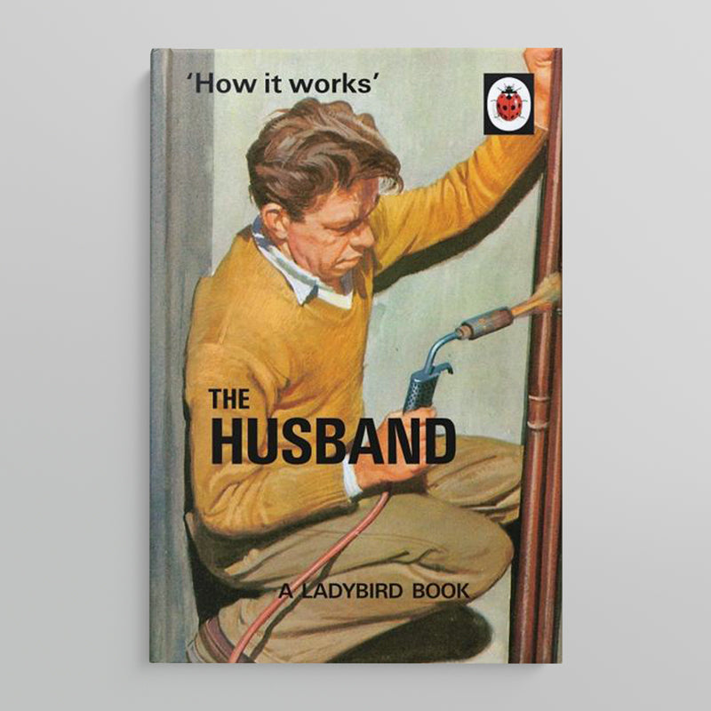 A LADYBIRD BOOK FOR GROWN-UPS | How it works: The Husband