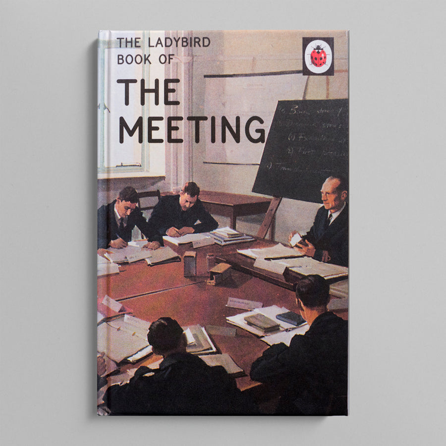 A LADYBIRD BOOK FOR GROWN-UPS | The Meeting
