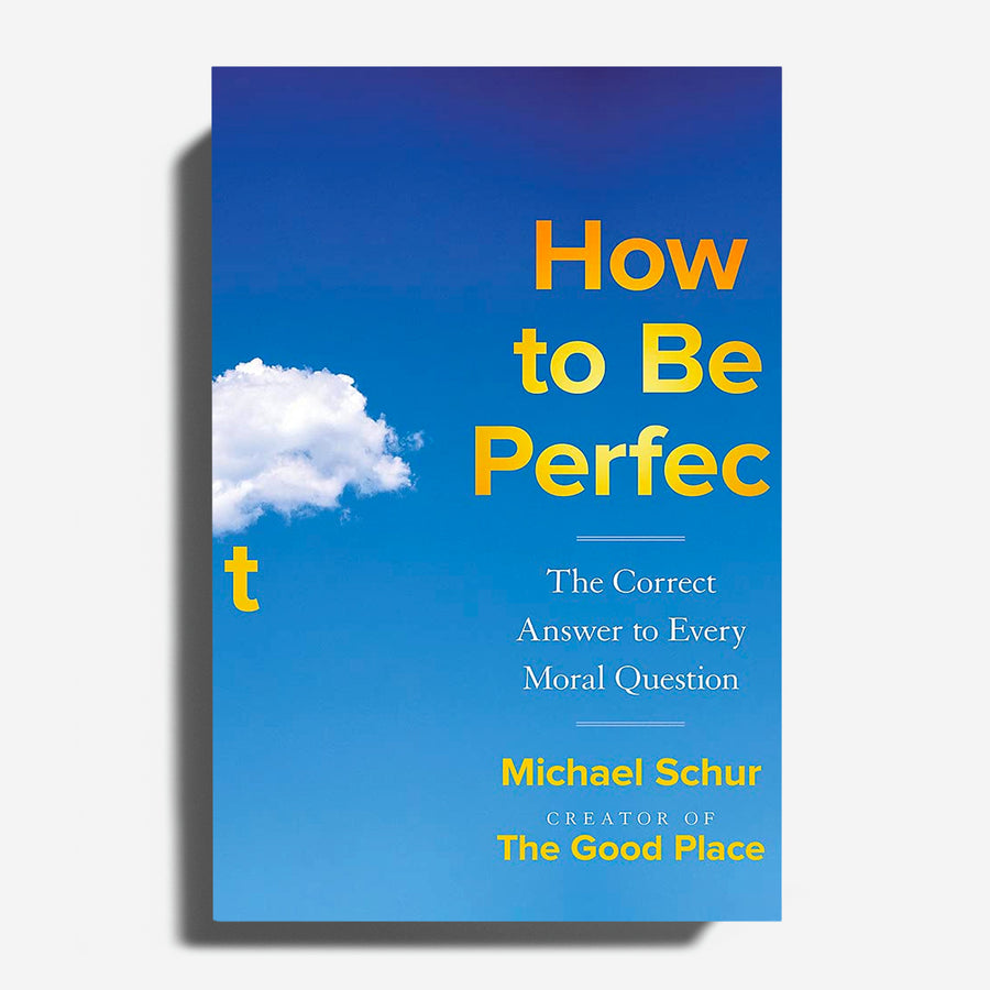 MICHAEL SCHUR | How to be perfect