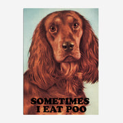 LA LLAMA | Postal "Sometimes I eat poo"